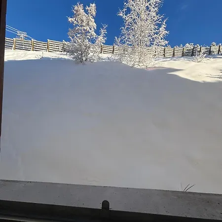 Appartement Départ Et Retour Skis Aux Pieds Alpe dʼHuez
